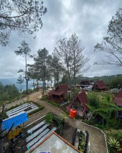 Maulana Cafe, Tempat Healing Menikmati Panorama Danau Toba