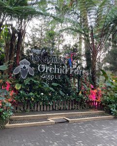 Orchid Forest Cikole, Wisata Alam Bunga Anggrek nan Indah