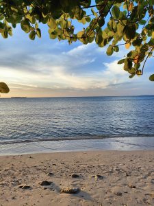 Karimunjawa Jepara | Pesona Wisata Vibes Seperti Maldive